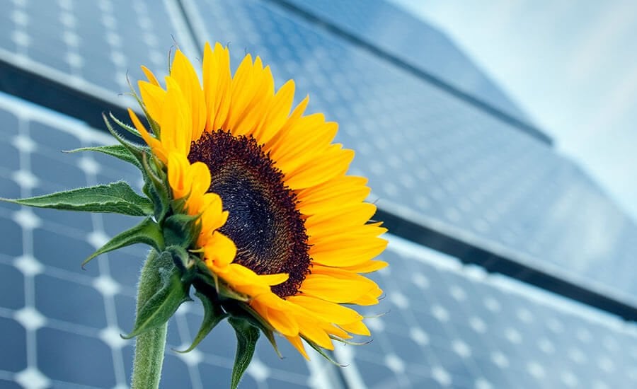 200 Watt / 200w Güneş Paneli – Solar Panel
